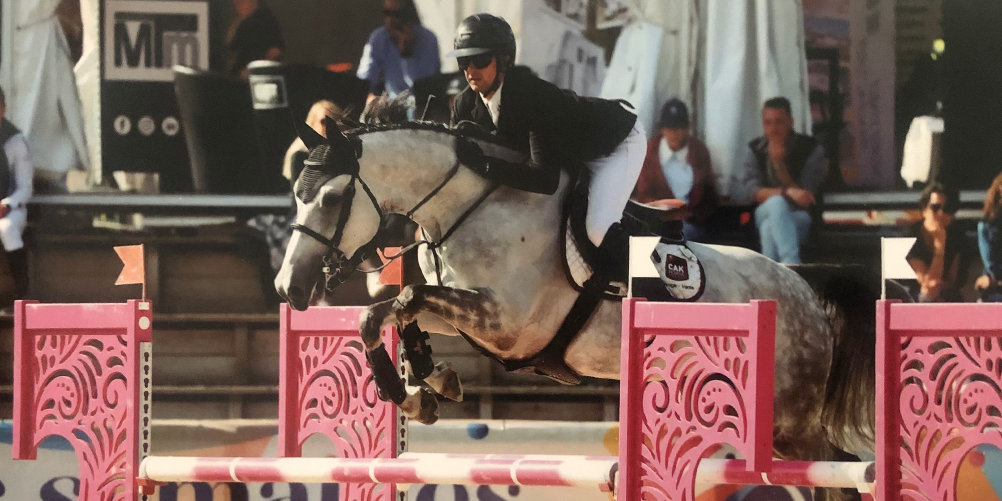 aurea-cak-z Aurea CAK Z - The Horse Agency